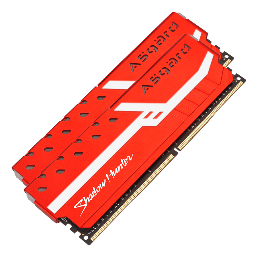 Asgard 16G Dual 3000 DDR4 Shadow Hunter ARGB — Close-up 3