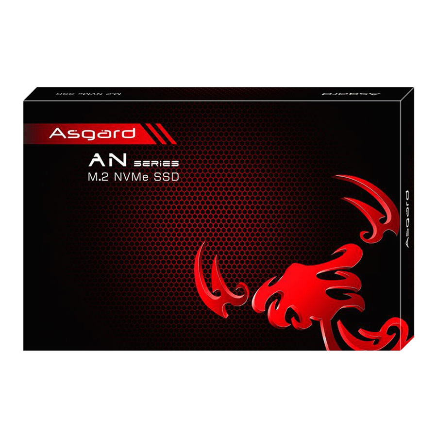 اس اس دی ازگارد AN2 M.2 NVMe ظرفیت 1 ترابایت — نمای نزدیک 3
