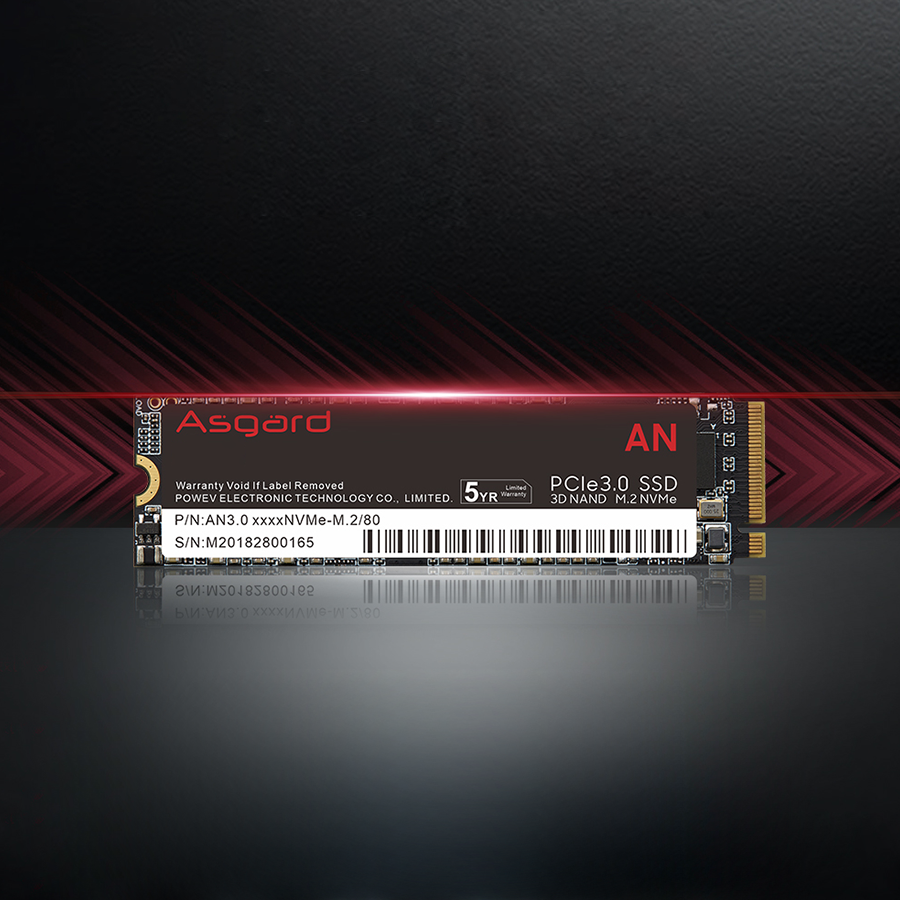 اس اس دی ازگارد AN3 M.2 NVMe ظرفیت 1 ترابایت — نمای نزدیک 1